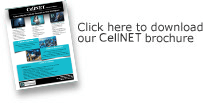 Our Brochure